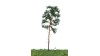 Grove den, 18-22 cm, geschikt voor H0