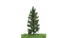 Spar, 12-16 cm, geschikt voor H0/TT