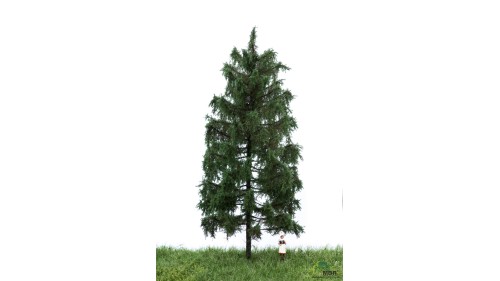 Spar, 18-22 cm, geschikt voor H0