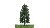 Spar, 18-22 cm, geschikt voor H0