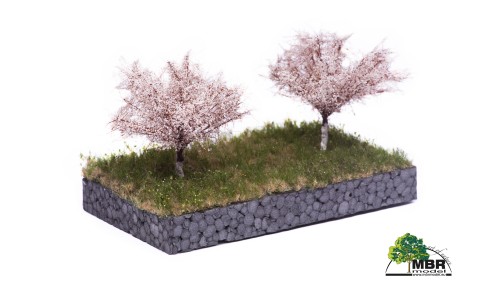 Appelboom, 7 cm, lente, 2 stuks
