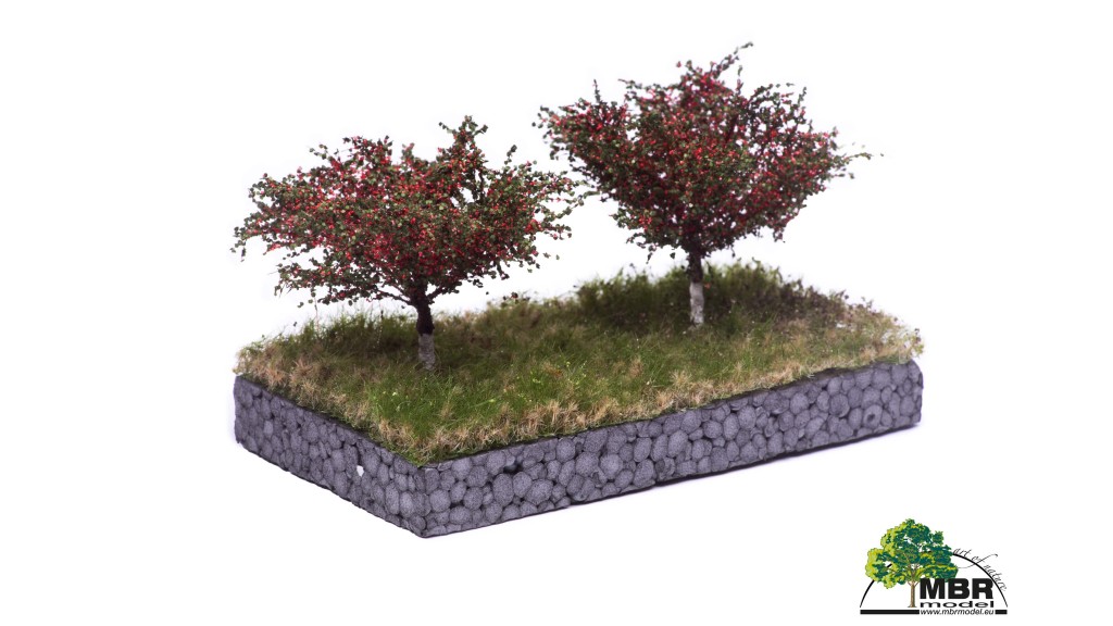 Kersenboom, 7 cm, 2 stuks