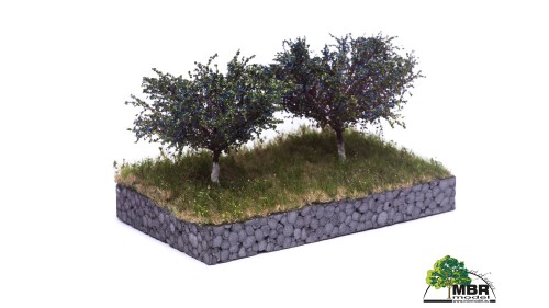 Pruimenboom, 7 cm, 2 stuks