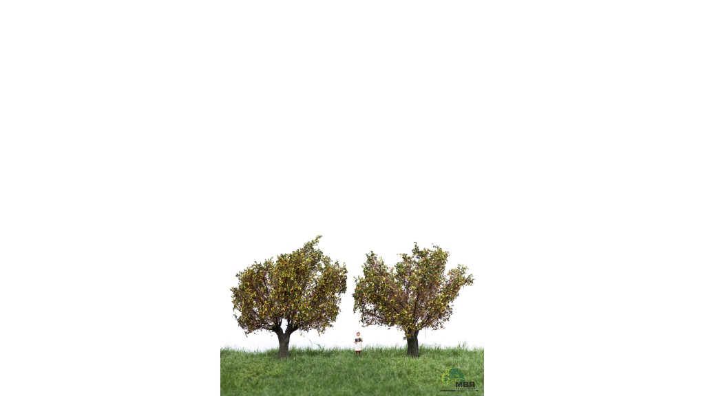 Knotwilg, 10 cm, herfst, 2 stuks