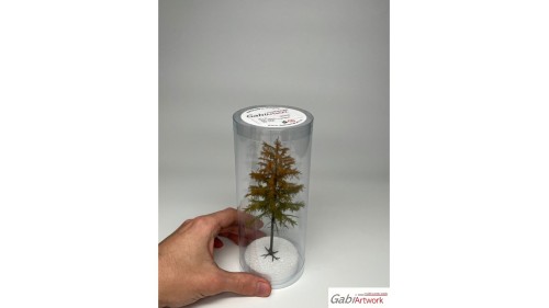 Europese lariks, Vroege herfst, 2/3, 25-27 cm